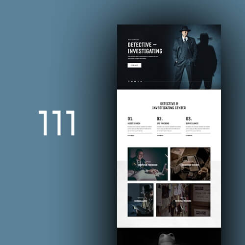 111 Detective