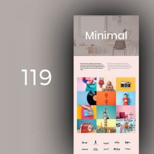 119 Minimal Portfolio