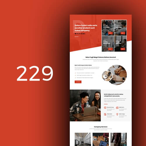 229 Company 30