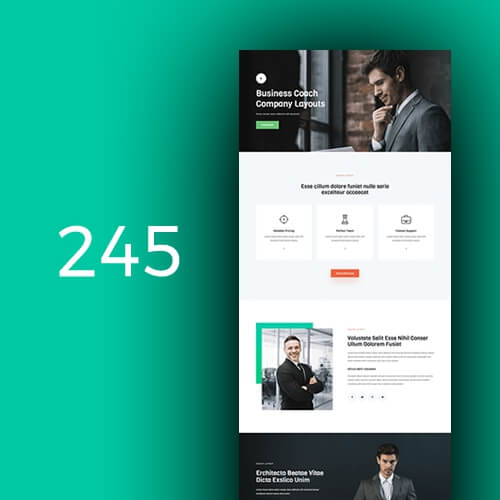 245 Business Coach 2