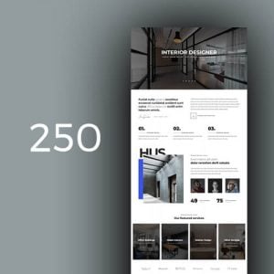 250 Interior Design 3