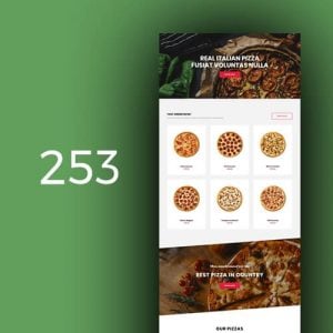 253 Pizza 3