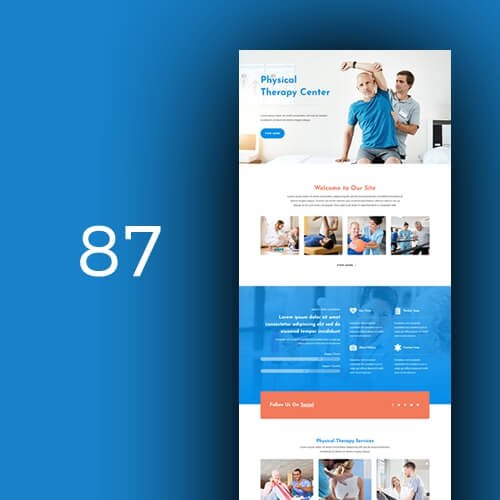 87 Physiotherapist